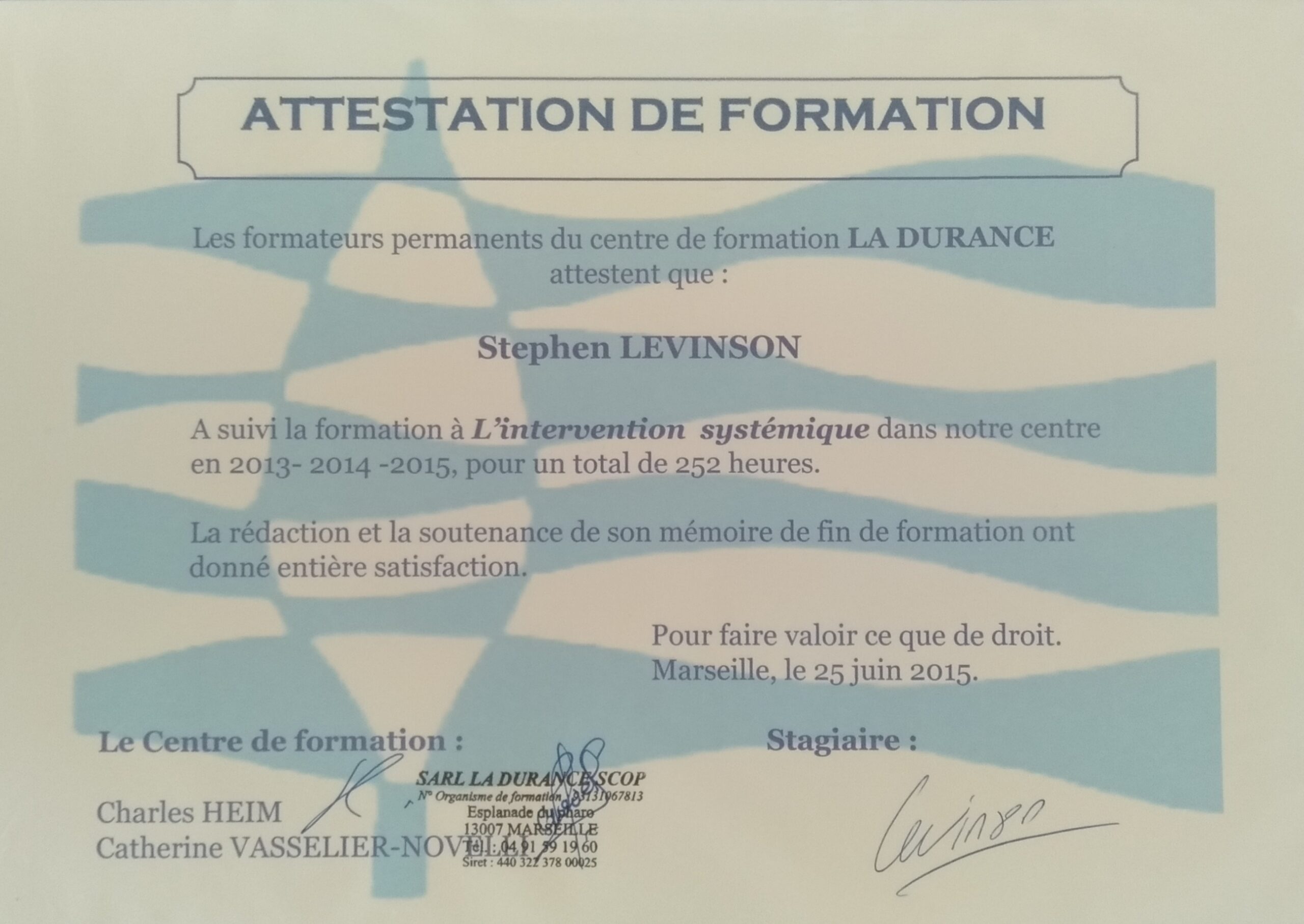 Approche systémique thérapeutique